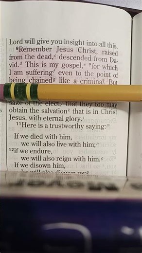 2 Timothy 2:8 Bible Verse