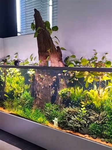 Exploring the 5000 Liter Aquarium by Jöst Aquaristic