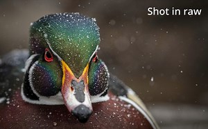 10 步Lightroom图像处理，从头到尾来教您