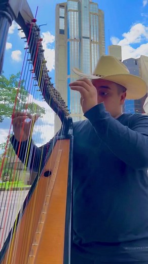 Joropo Llanero Música Llanera Pajarillo al estilo de Johnny Jiménez Arpa #johnnyjimenezarpa #joropo #venezuela #musicallanera #arpa #pajarillo #cuatro #maracas #bajo #caracas #barinas #guarico | Johnny Jiménez Arpa