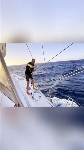 Setting the sails for the night ⛵️ #sailingfamily #sailinglife #passage #sailboat