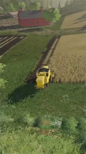 colheita de trigo fs19 #operador #maquina #colheita