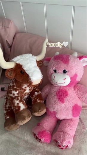 Longhorn Cow Build-A-Bear 🐮🤎🤍