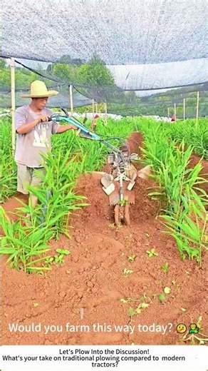 Traditional Plowing in Action! 🐂🌾