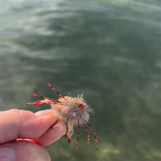 Phil Rowley Fly Fishing on Instagram: "During a recent trip to the @xcalakflyfishinglodge inspired by other great saltwater fly Tyers,I took a few experimental floating crab patterns with me. I managed a few permit, but no hookups. That's permit. 🤷 Hook: @daiichiff 2546 Thread: @semperfli_flytying Nano Silk, Streamer Red Antenna: @semperfli_flytying Semperflash Krystal, Pearl Claws: @semperfli_flytying Worm Chenile, Brown Body: @semperfli_flytying Fry Chenille, Tan (Trimmed flush top and bottom