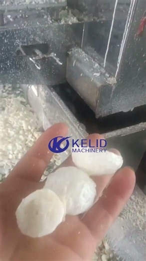 Big Capacity Pre gelatinized Modified Starch Processing Line
