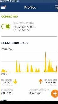 Бесплатный Open VPN Connect. Установка и настройка.
