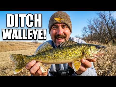 Spring Ditch Walleye Fishing in Nebraska
