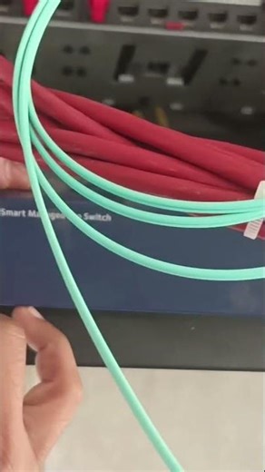 how can Reset the Netgear Switch