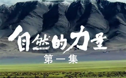 【央视1080P】《自然的力量》6集系列纪录片（典藏）