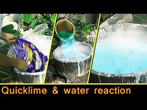 Quicklime and water reaction | Quicklime exothermic combination reaction