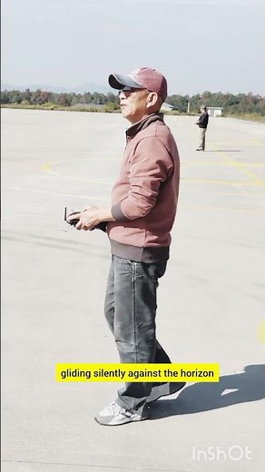 You Won’t Believe This Remote-Controlled Stealth Bomber!