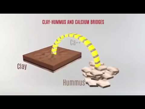 Humic and Fulvic acids