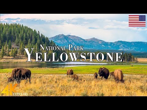 Yellowstone National Park 4K Ultra HD • Stunning Footage, Scenic Relaxation Film with Calming Music.