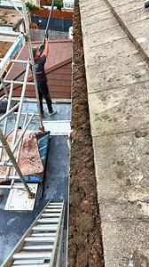 Ac clearing some mossy gutter after a roof scrap with Equip2Clean cyclone range gutter vac #WashOn #ambassador #partnership 🔥 | Aqua Cleanse