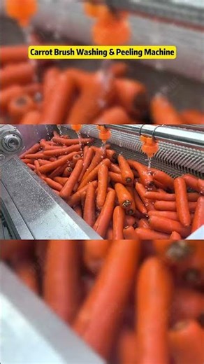 Automatic carrot brush washing and peeling machine industrial carrots continuous washer peeler