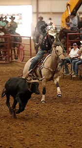 Crispiest loop I threw all day. Equinety Big V Feeds Inc. Trent Ward Saddlery CSI Saddlepads Apex Boot Co Classic Rope Wrangler Western DRC Construction Resistol Iconoclast Equine Support Boots RopeSmart Caliber Equine, LLC Athens Equine Succeed Equine Platinum Trailers Bish's RV Logan Industries Rafter P Construction Roofing and Restoration Services of America RPX Enterprises Texas Building Controls 🎥 The Team Roping Journal Magazine | Tyler Wade Team Roping