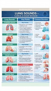 5.4K views · 318 reactions | LUNG SOUNDS – Clinical & Exam Revision...