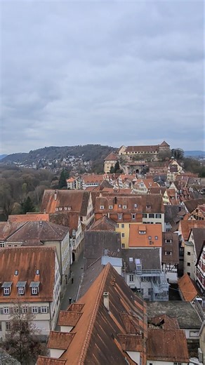 Tübingen Old Town from Above 🇩🇪 | Stiftskirche Tower View #shorts