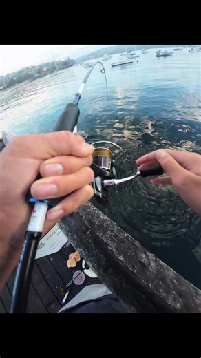 Best Small Fish Cooking Tips and Tricks