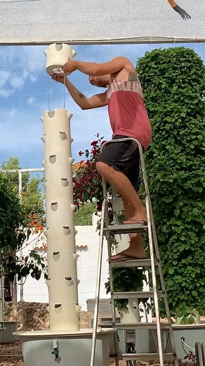Agrotonomy on Instagram: "Tower Garden assembly for an aeroponic Tower Farm. Check out how easy it is to assemble an 11-pot Tower Garden. The 11-pot Tower Garden is 2.5 meters tall and can accommodate up to 44 plants in less than 1 m2. #TowerGarden #TowerFarms #Aeroponics #VerticalFarming #BeyondOrganic #PesticideFree #UrbanFarming #Potager #VegetableGarden #UrbanAgriculture #Agriculture #FutureOfFarming #SustainableFarming #WaterSavings #AeroponicFarm #Agrotonomy #Hydroponics"