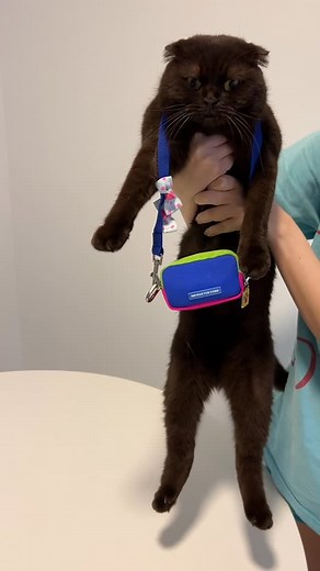 six beans on Instagram: "one of a kind poop bag"