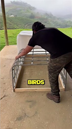 The Smartest Way To Use An Old Water Tank