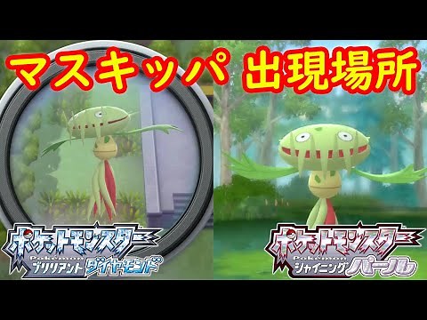 【マスキッパ】出現場所 入手方法 攻略 【ポケモン ダイパリメイク ポケモン ブリリアントダイヤモンド・シャイニングパール】