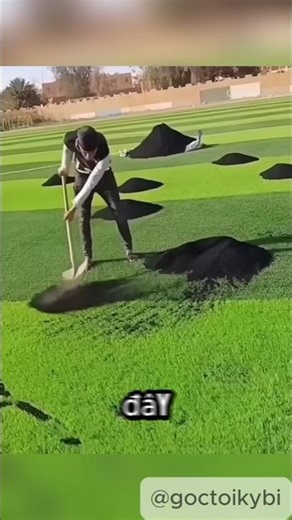 Sự thật về những hạt đen trên sân cỏ nhân tạo. #shorts