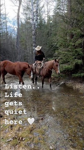 Some trail rides are exactly what your soul needs. #horses #nature #peace #forest #trailriding