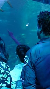 4.1K views · 20 reactions | Super pup Skye joins forces with air...