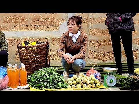 Harvest Agricultural Products ( Vegetables and Corn ) To Go To The Market To Sell | Lý Thị Ninh