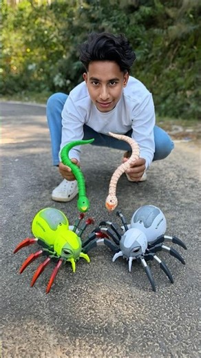 Rc Duita Snake vs Remote Control 2 Ta Spider Ke Unboxing Testing