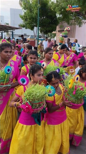 🌾 பரமத்தி வேலூர் முளைப்பாரி ஊர்வலம் 🙏✨ #Mulaipari #Oyilattam