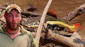1.2M views · 10K reactions | Mentras construían un refugio para pasar la noche, pescaron un bagre de 20 kilos, por lo que tendrán un banquete en lugar de cena. Ahora, Bill preparará el pescado para comerlo mientras que Grady se encarga de la fogata 輪‍♂️鸞 #DesafíoX2 | Discovery Latinoamérica | Facebook