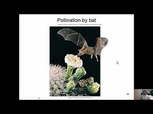 ENVS 101 Coevolution