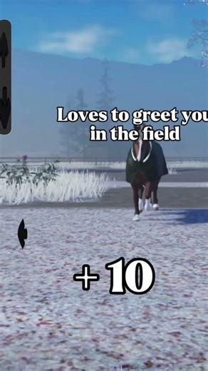 How similar is your horse to Yoda? Let me know in comments! #strideway #maplespringseventing