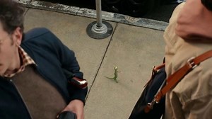 Geico Lines (2026 TV Commercial)  commercial