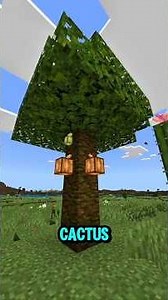 how long will it take me to get all dyes in Minecraft hardcore?