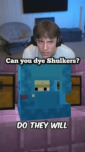 can you dye the shulker in Minecraft? | @drdonutt