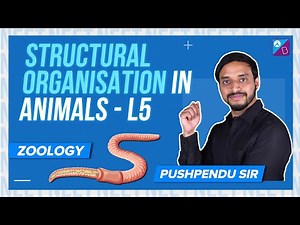 Morphology and Anatomy of Cockroach - Structural Organisation in Animals Class 11 Biology Concepts