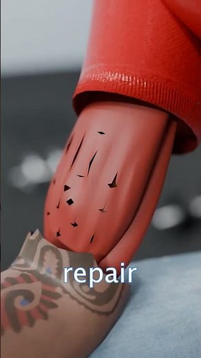 How Muscle Grow After Workout