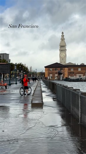Dana Veeder on Instagram: "One more from yesterday’s king tides, as we gear up for another one later this morning. Mesmerizing, the flow of water across the sidewalk. Deceptively beautiful. … #sanfrancisco #kingtides #embarcadero #ferrybuilding #415urbanadventures"