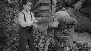 The Devil and Daniel Webster (1941)