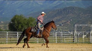 99 reactions · 17 shares | Timber ~ 2017 Big Ranch Grade Gelding...