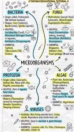 Bacteria and Virus 🦠 ll Biology ll CBSE & ICSE ll #shorts #biology #virus #bacteria #exam #yt #cbse