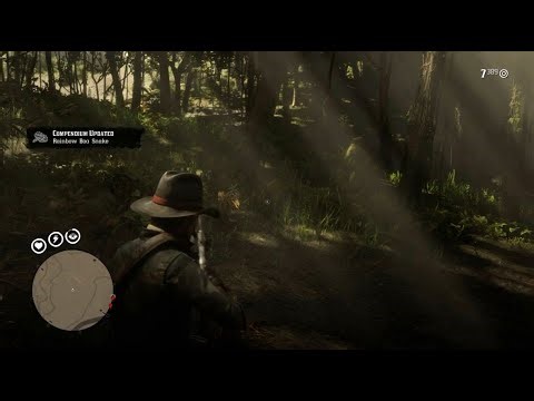 Rainbow Boa snake. John Survival in Guarma. RDR2