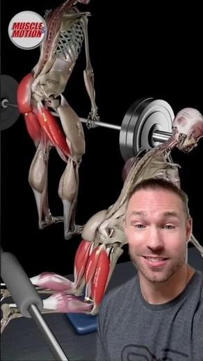 The BEST Hamstring Exercise You Need!