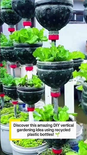 Creative Vertical Gardening Using Recycled Plastic Bottles | DIY Smart Planting System