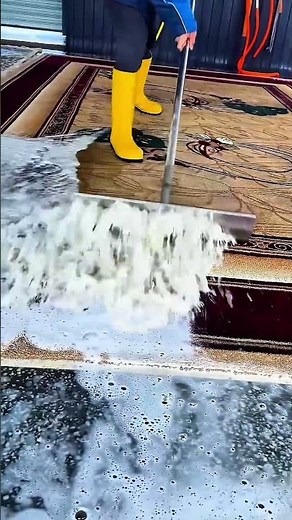 Professional Deep-Clean Rug Washing & Squeegee Technique